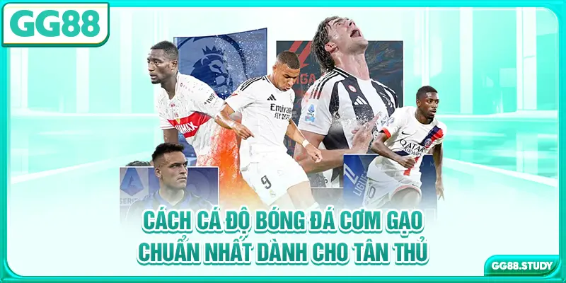 cach-ca-do-bong-da-com-gao-chuan-nhat-danh-cho-tan-thu