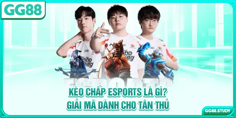 keo-chap-esports-la-gi-giai-ma-danh-cho-tan-thu
