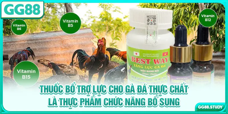 Thuốc bổ trợ lực cho gà đá thực chất là thực phẩm chức năng bổ sung